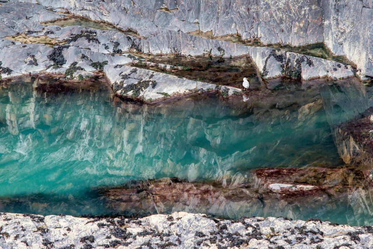 Vila Ty Pren Bach Maenclochog Exteriér fotografie