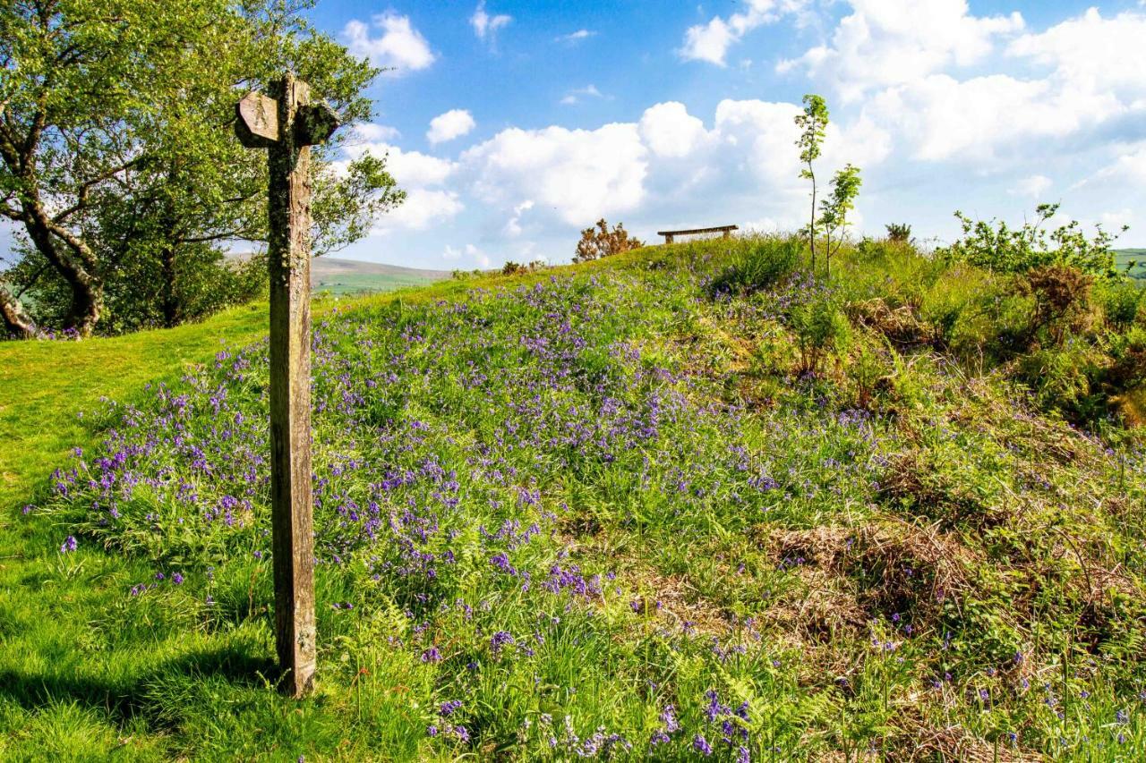 Vila Ty Pren Bach Maenclochog Exteriér fotografie