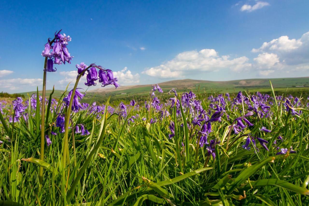Vila Ty Pren Bach Maenclochog Exteriér fotografie